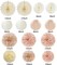 Champagne-Gold Beige-Peach Boho Party-Decorations Streamers - 14pcs Fall Neutral Baby Shower Rustic Bohemian Wedding Paper Honeycomb Lanterns Fan,Birthday Bachelorette Bridal Decor Lasting Surprise